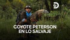 Coyote Peterson en lo salvaje