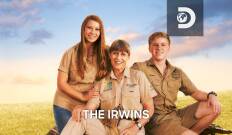 The Irwins