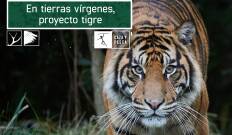 En tierras vírgenes. Proyecto tigre