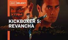 Kickboxer 5: Revancha