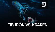 Tiburón vs. Kraken