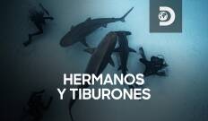 Hermanos y tiburones