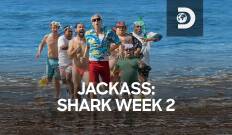 Jackass: Shark Week 2