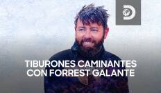 Tiburones caminantes con Forrest Galante