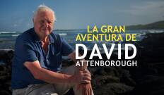La gran aventura de David Attenborough