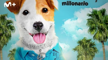 Pancho, el perro millonario