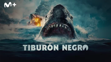 Tiburón negro