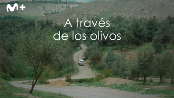 A través de los olivos