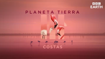 Planeta Tierra III. Planeta Tierra III: Costas