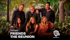 Friends: The Reunion