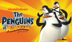 Los pingüinos de Madagascar. T(T1). Los pingüinos de Madagascar (T1)