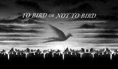 To Bird or Not To Bird
