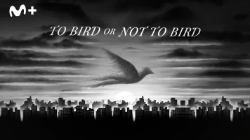 To Bird or Not To Bird