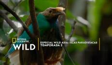 Especial Wild Asia: Islas paradisíacas