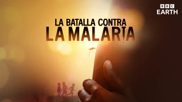 La batalla contra la malaria