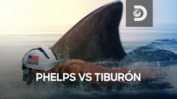 Phelps vs Tiburón