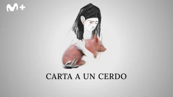 Carta a un cerdo