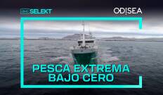 Pesca extrema bajo cero