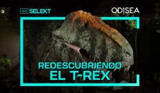 Redescubriendo el T-Rex