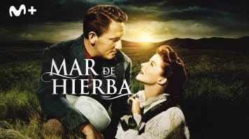 Mar de hierba