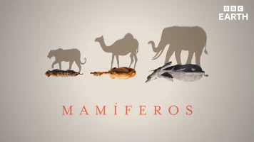 Mamíferos