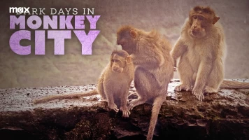 Monkey City