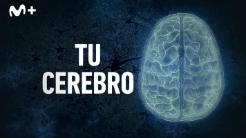 Tu cerebro