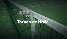 Torneo de Halle. T(2024). Torneo de Halle (2024): TBC