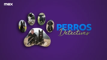 Perros detectives