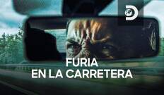 Furia en la carretera