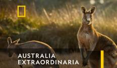 Australia extraordinaria