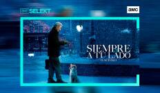 Siempre a tu lado (Hachiko)