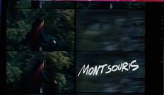 Montsouris