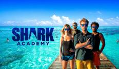 Shark Academy