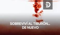 Tiburón: terror en las profundidades 2