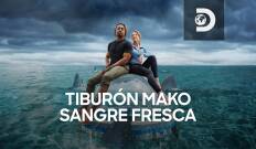 Tiburón mako: sangre fresca