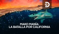 Mako manía: la batalla por California