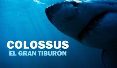 Colossus: el gran tiburón