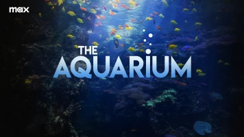 The Aquarium