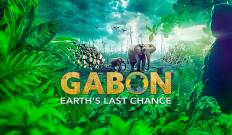 Gabon: Wildlife Warriors