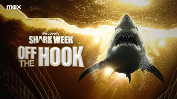 Shark week: fuera de juego