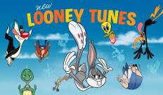 New Looney Tunes, Season 3. T(T3). New Looney Tunes, Season 3 (T3)