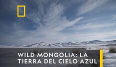 Wild Mongolia: tierra de extremos