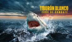 Tiburón blanco: zona de combate