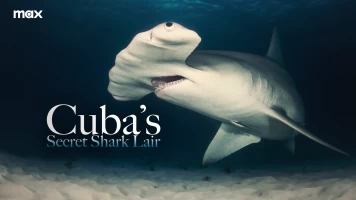 Tiburones gigantes de Cuba