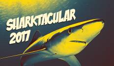 Sharktacular 2