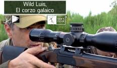 Wild Luis:  El Corzo Galaico