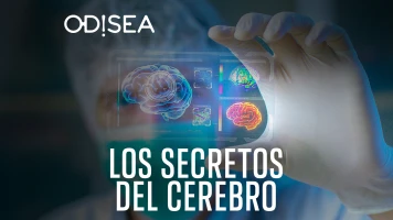 Los secretos del cerebro