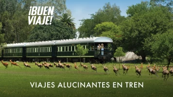 Viajes alucinantes en tren