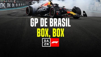 GP de Brasil (Sao Paulo). GP de Brasil (Sao Paulo): GP de Brasil: Box, Box